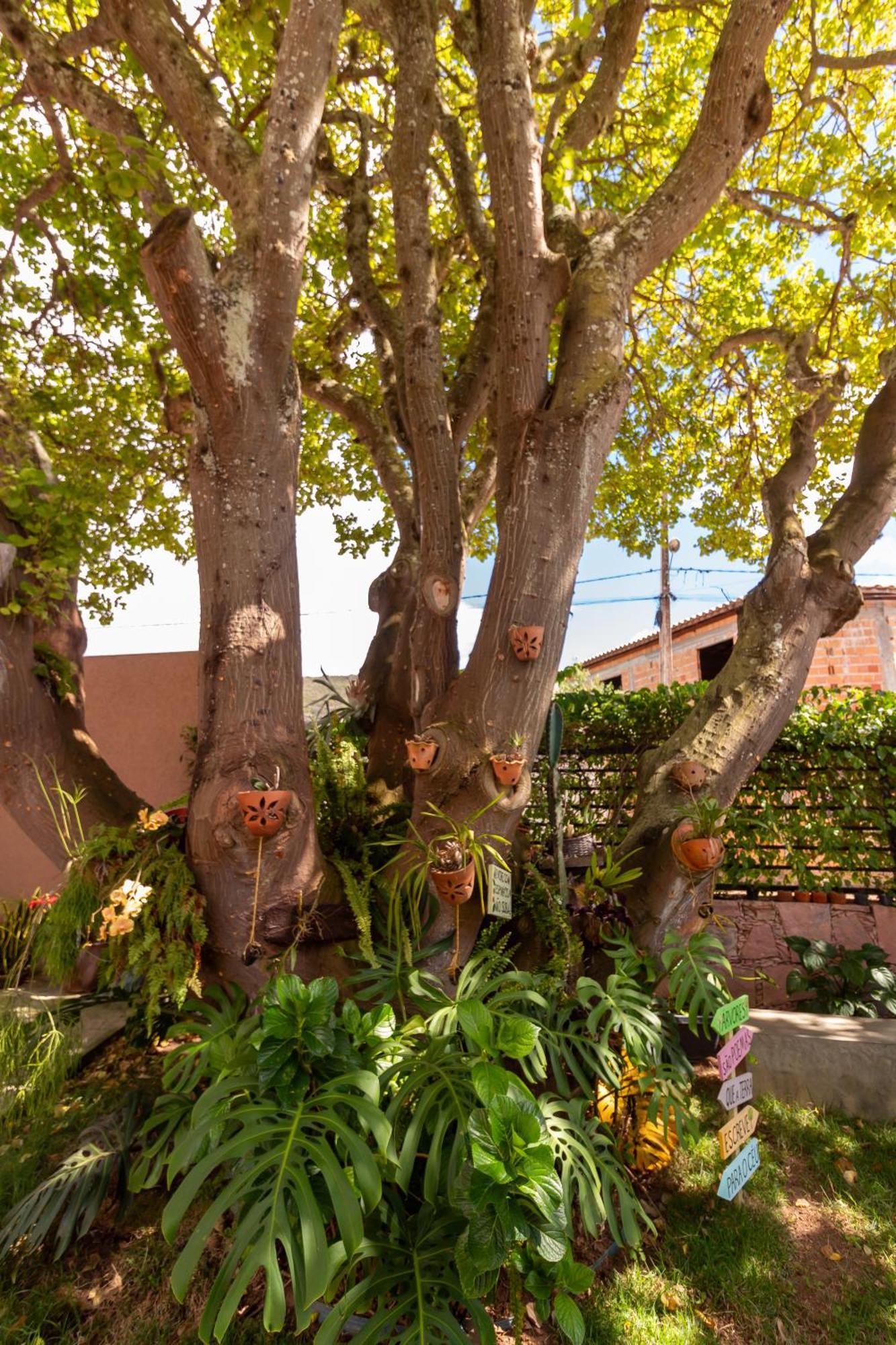 Holiday home Matilde *